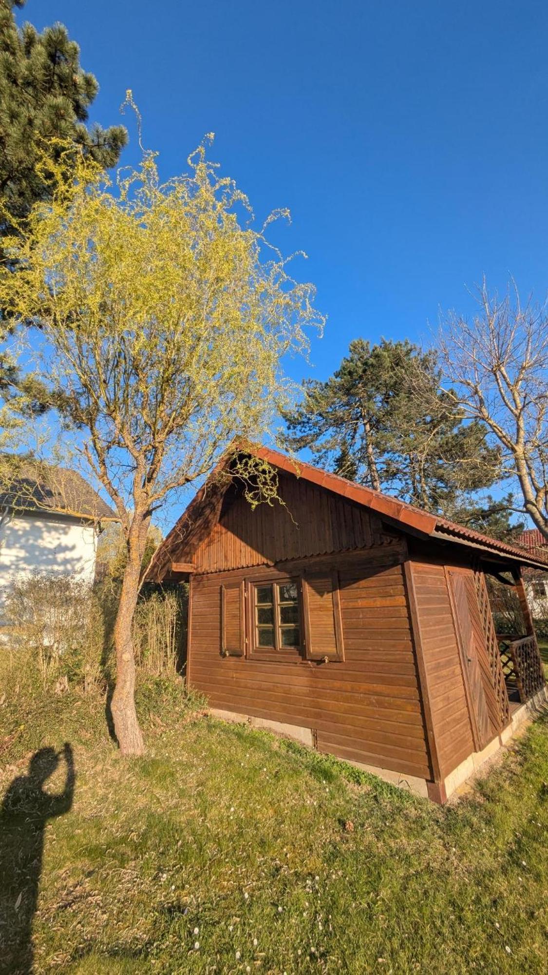 Landhotel Sonneneck - Breuna Im Naturpark Extérieur photo