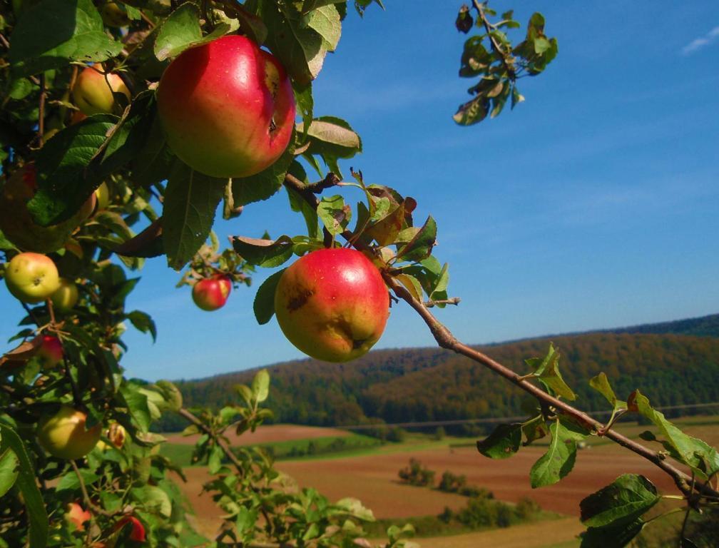 Landhotel Sonneneck - Breuna Im Naturpark Extérieur photo
